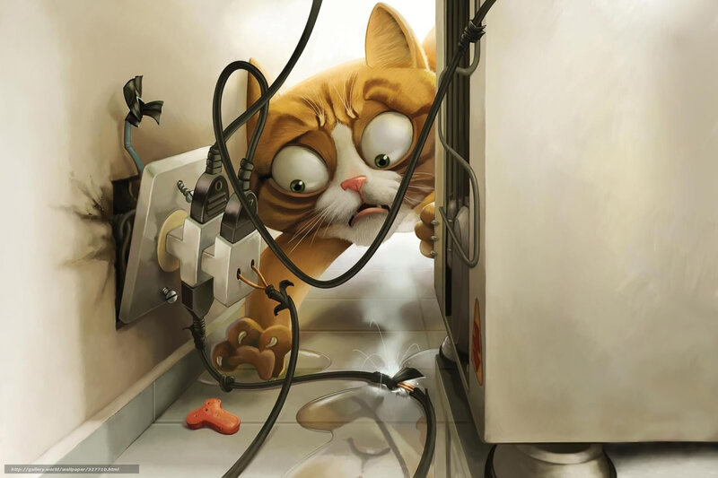 Cat with electrical cords