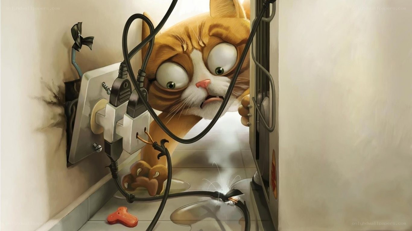 Cat with electrical hazard