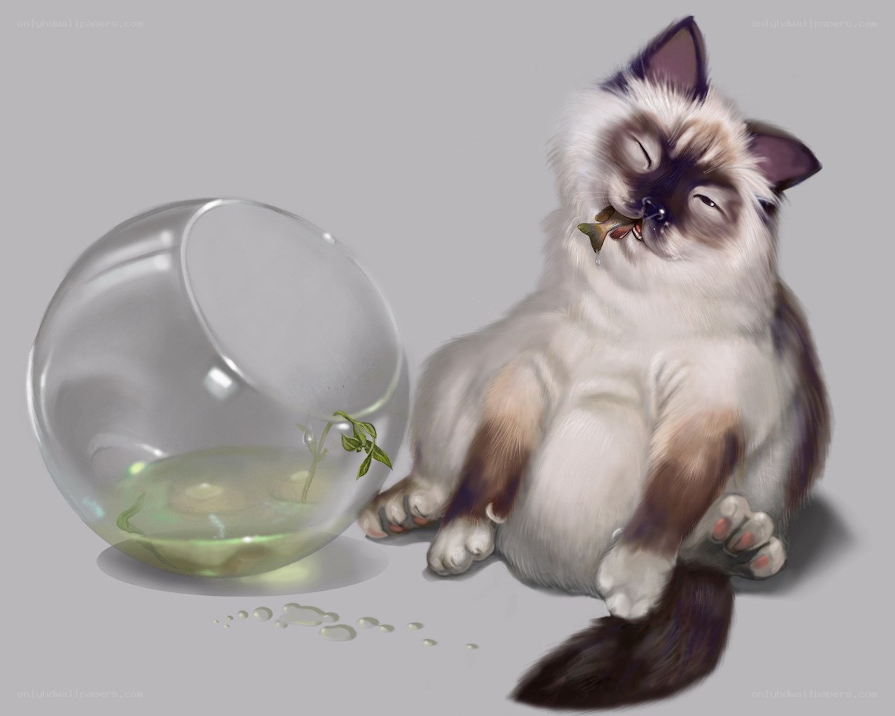 Cat with fish in mouth