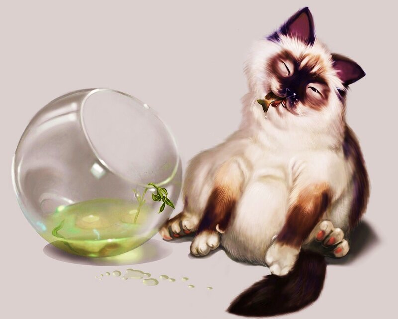 cat with fish in mouth