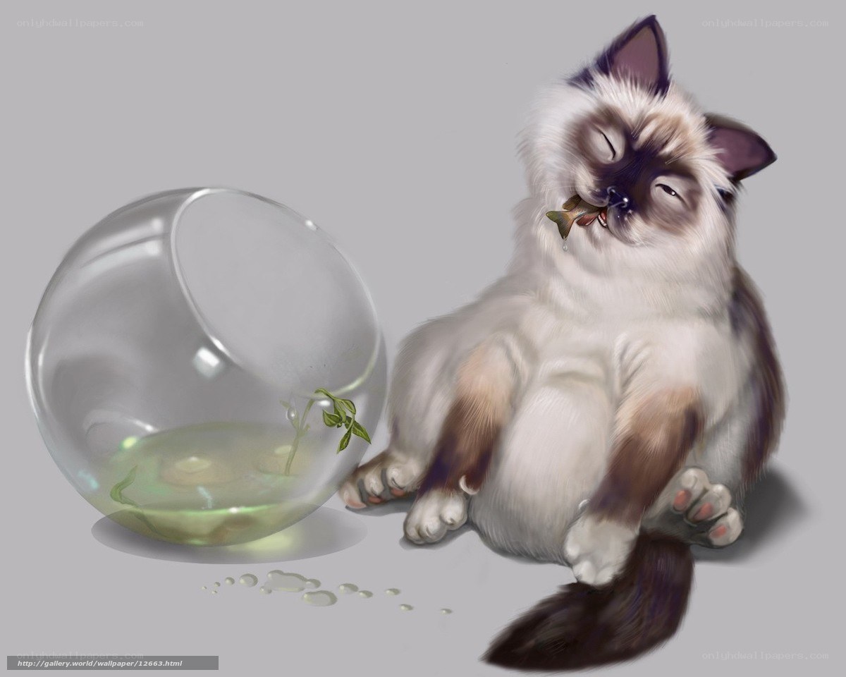 cat with fish in mouth