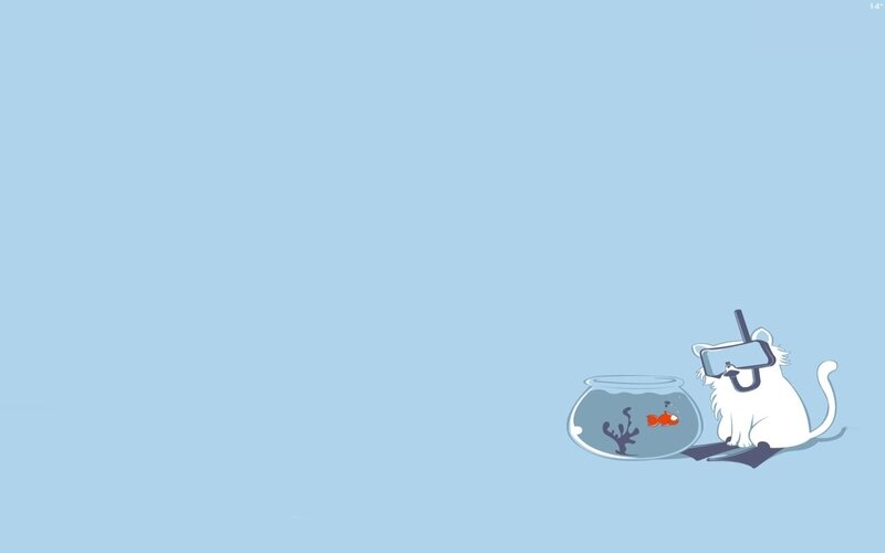 cat with fishbowl