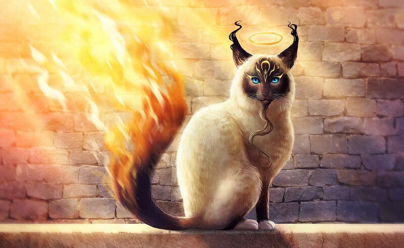 Cat with Flaming Tail