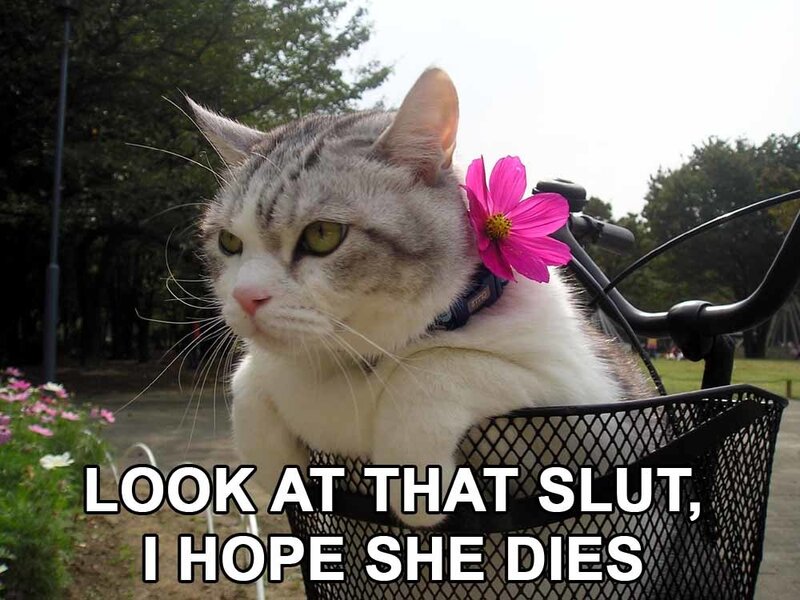 cat with flower in basket