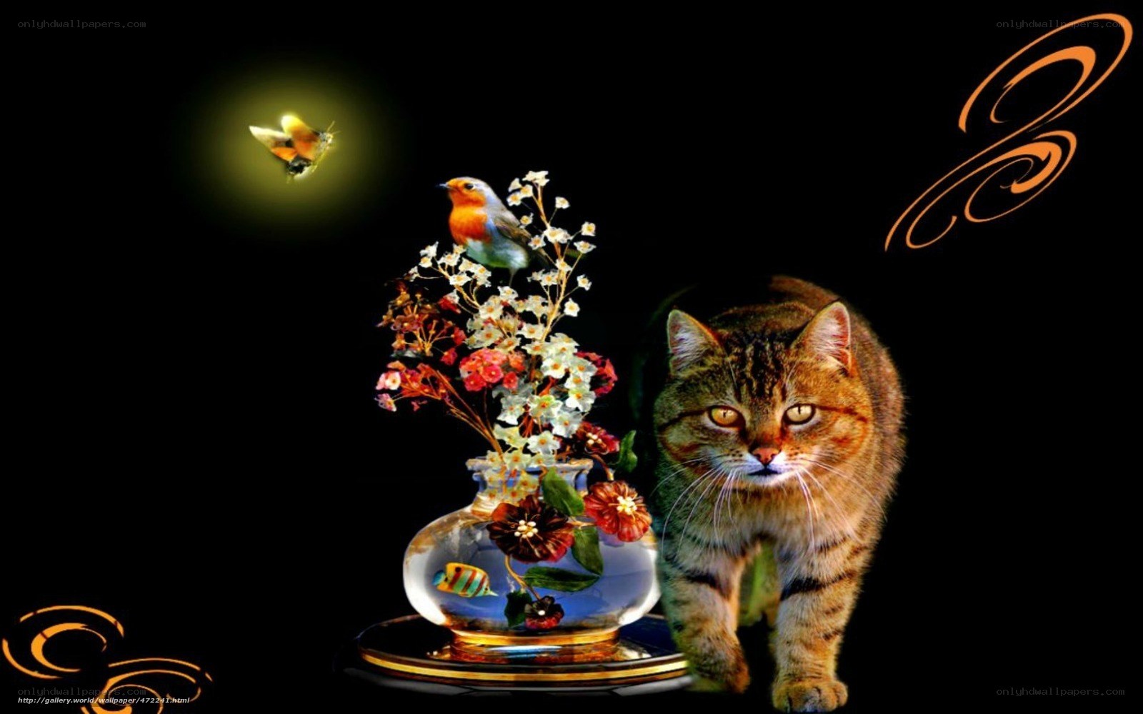 cat with flowers and bird