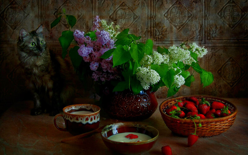 Cat with Flowers and Fruit