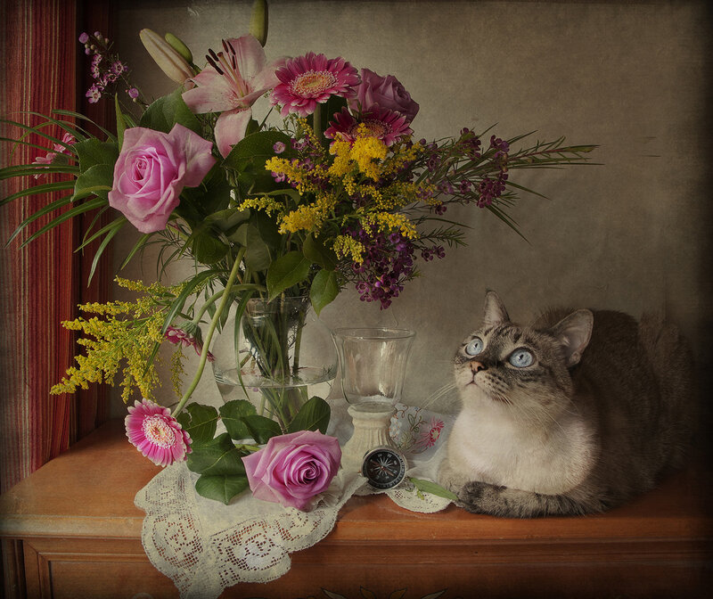 Cat with Flowers — Brown