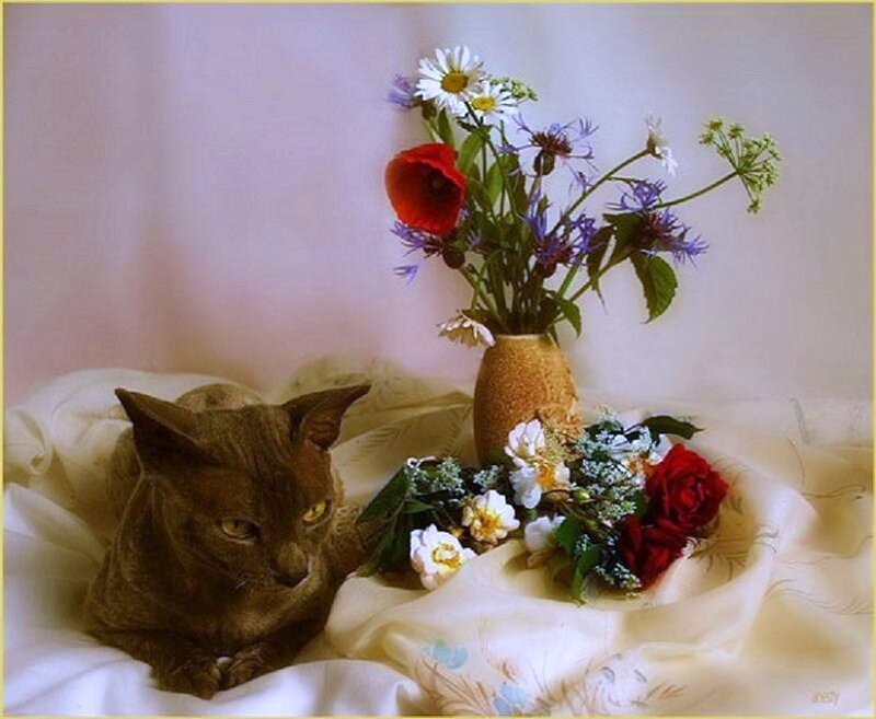 Cat with flowers in a still life
