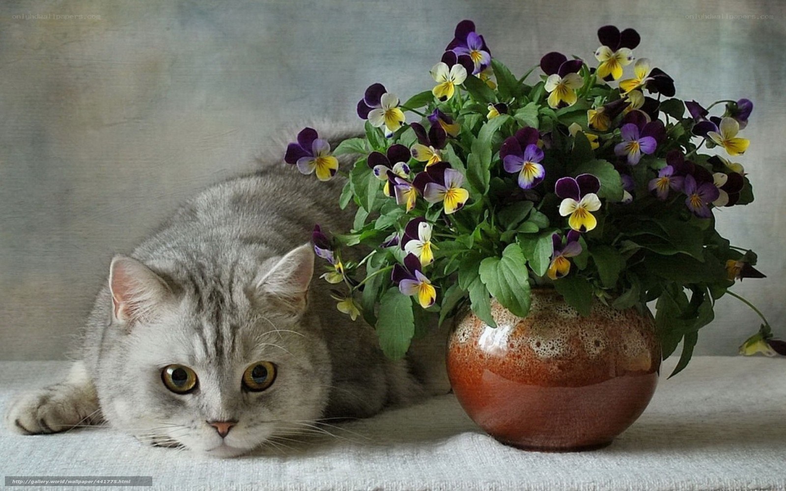 Cat with flowers in vase