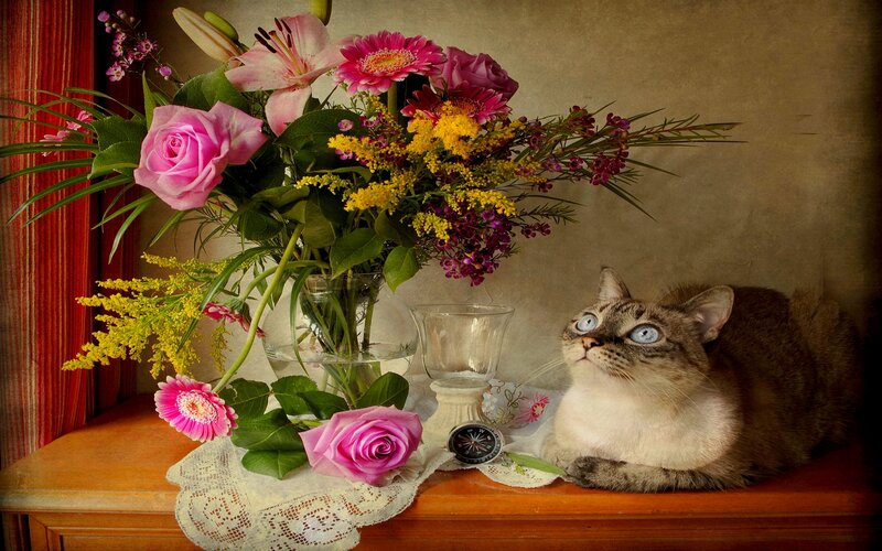 Cat with Flowers — Pink, Calm