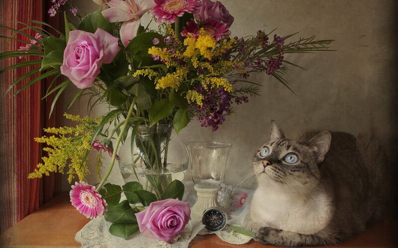 Cat with Flowers — Pink