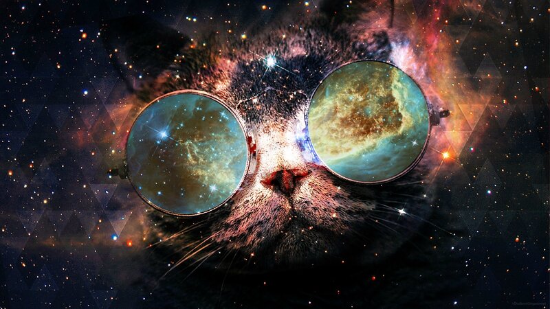 Cat with Galaxy Glasses