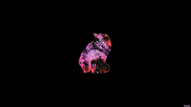 Cat with Galaxy Pattern — Purple, Cosmic