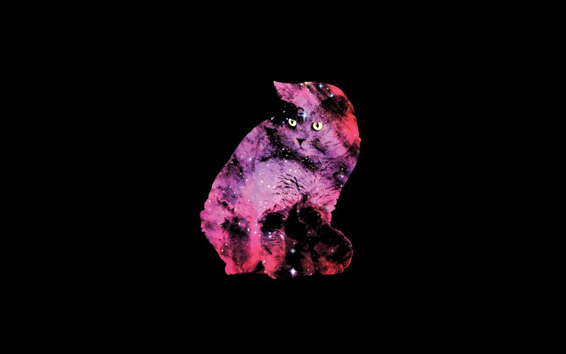 Cat with Galaxy Pattern — Purple