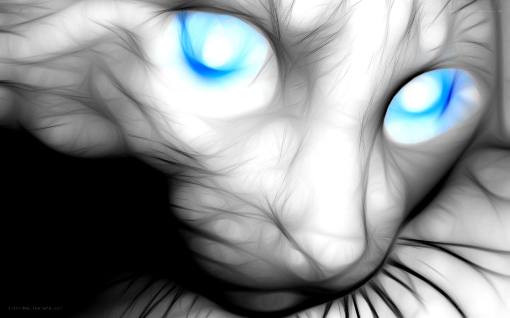 cat with glowing blue eyes