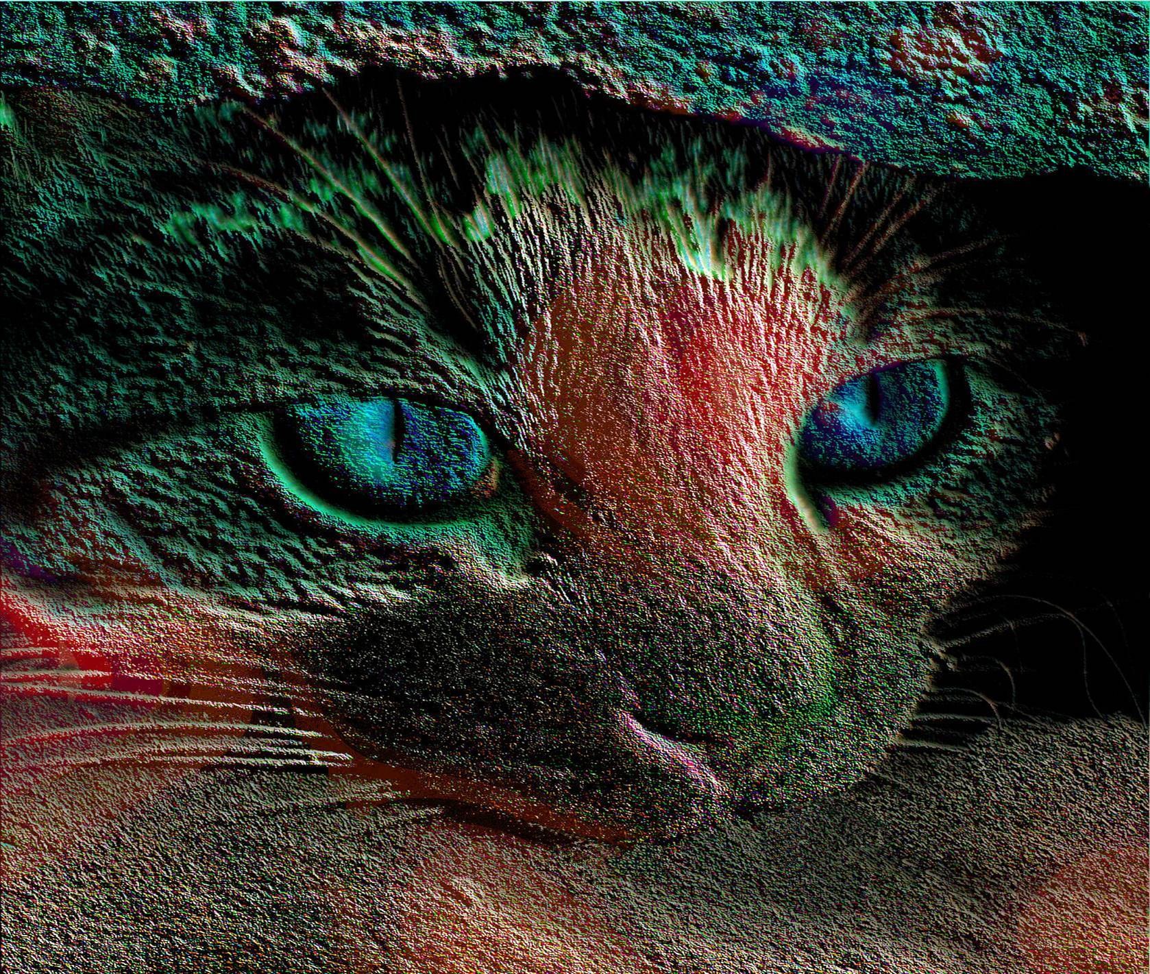 cat with glowing eyes