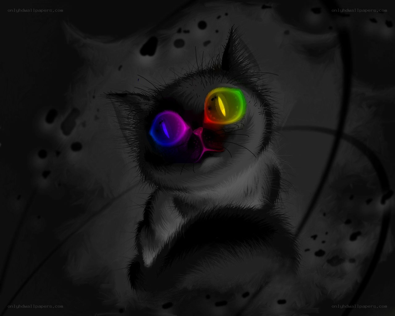 cat with glowing eyes