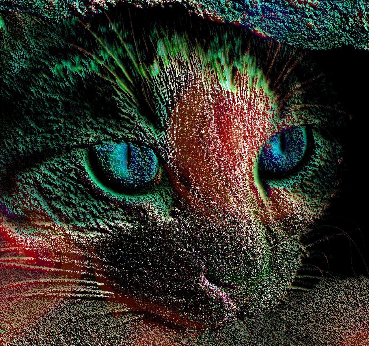 cat with glowing eyes