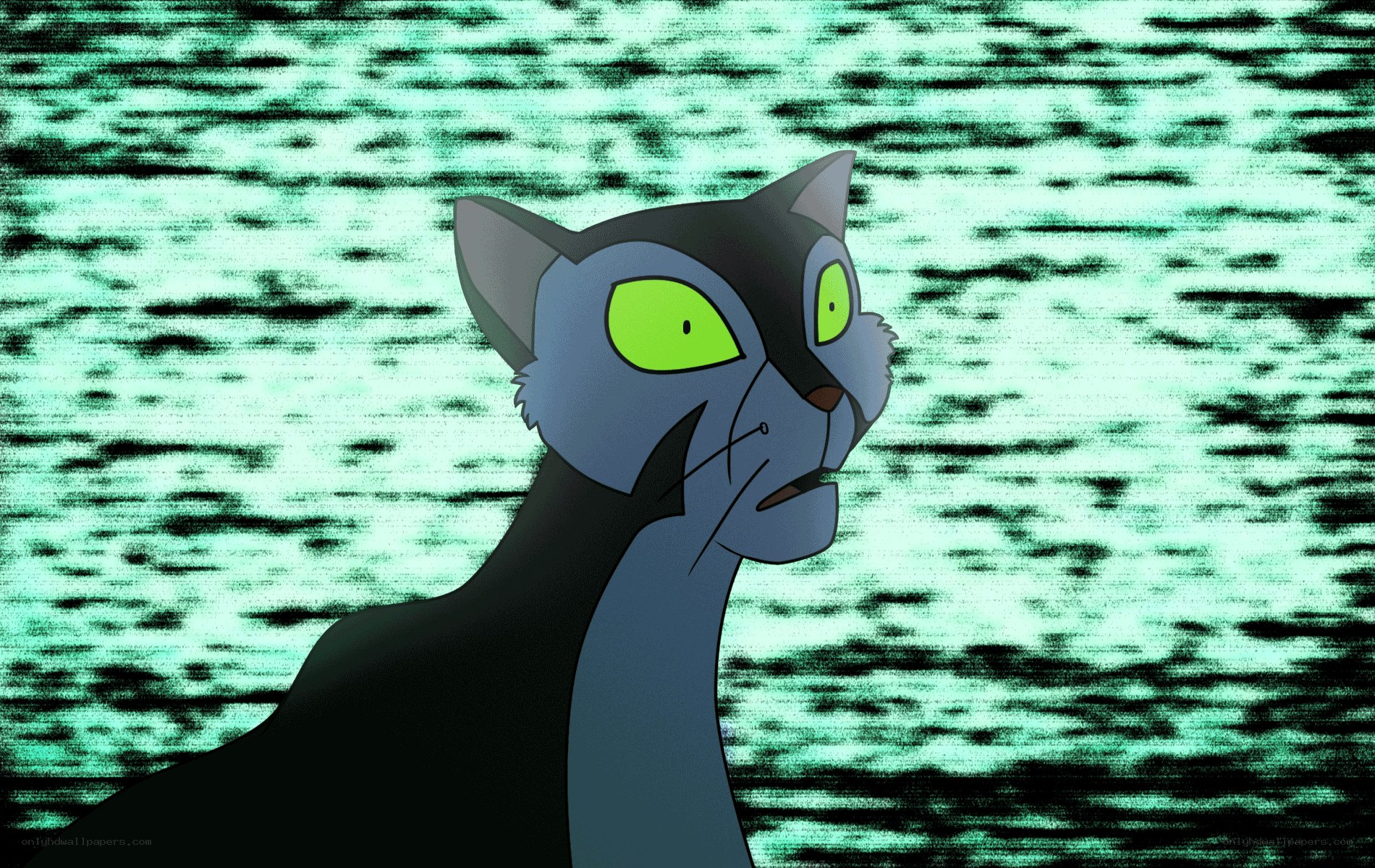 cat with glowing eyes