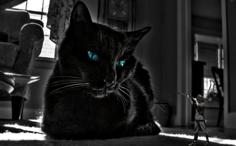 cat with glowing eyes and soldier