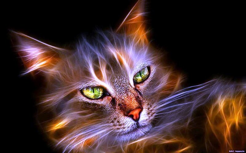 Cat with Glowing Eyes — Black, Dramatic, Digital Art, Glowing Effect