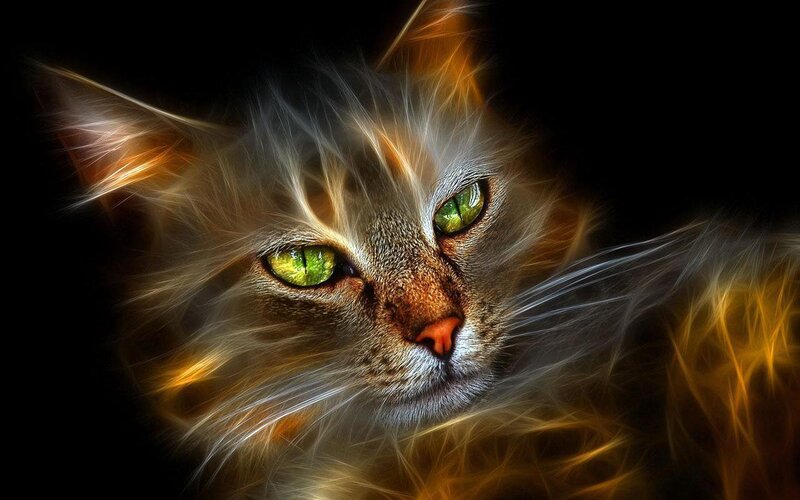 Cat with Glowing Eyes — Black, Dramatic, Digital Art