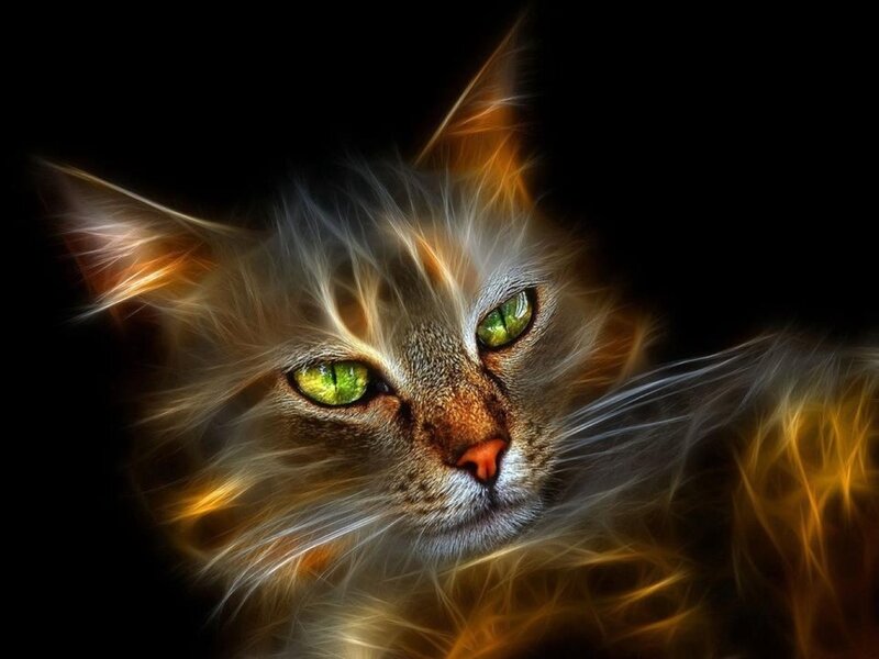 Cat with Glowing Eyes — Black, Dramatic, Digital Art, Whiskers, Fur