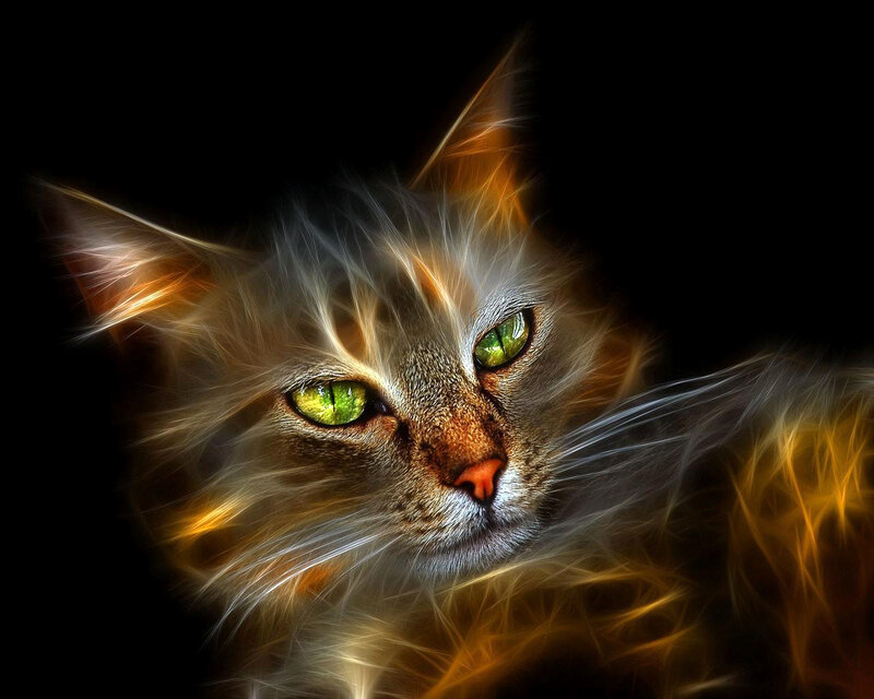 Cat with Glowing Eyes — Black, Dramatic, Digital Art, Whiskers