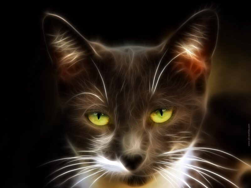 Cat with Glowing Eyes — Black, Dramatic, Night, Digital Art, Whiskers