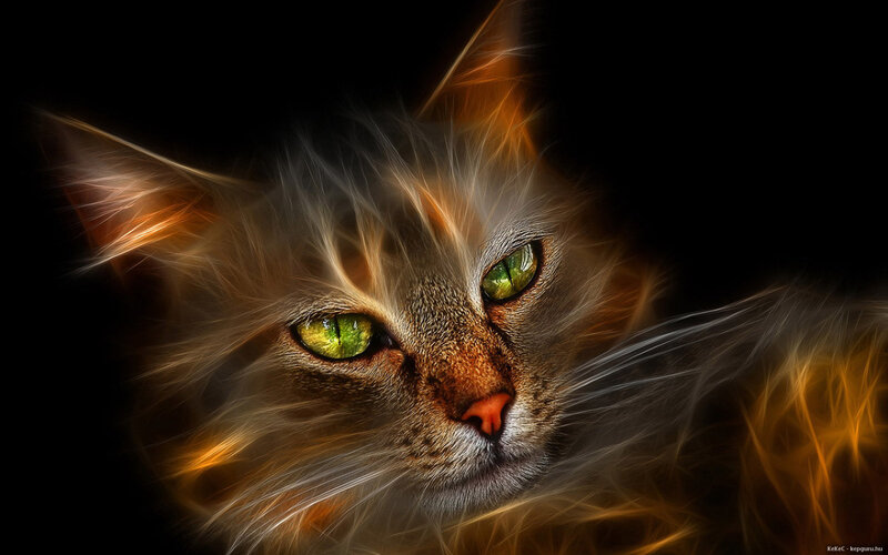 Cat with Glowing Eyes — Black, Dramatic
