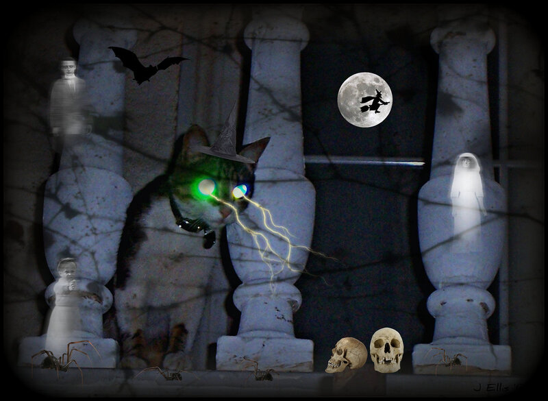 Cat with Glowing Eyes — Black, Spooky