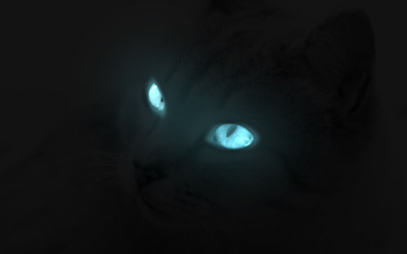 Cat with Glowing Eyes — Black