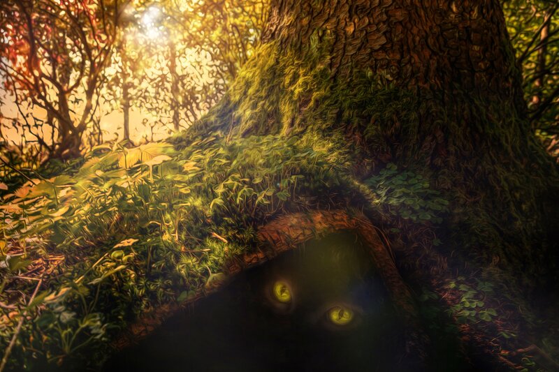 Cat with Glowing Eyes — Green, Mysterious