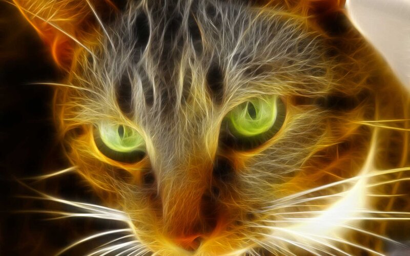 Cat with Glowing Eyes — Green