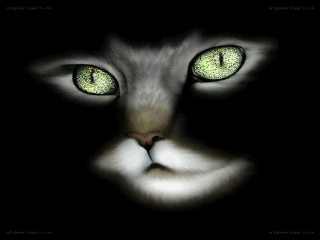 cat with glowing green eyes