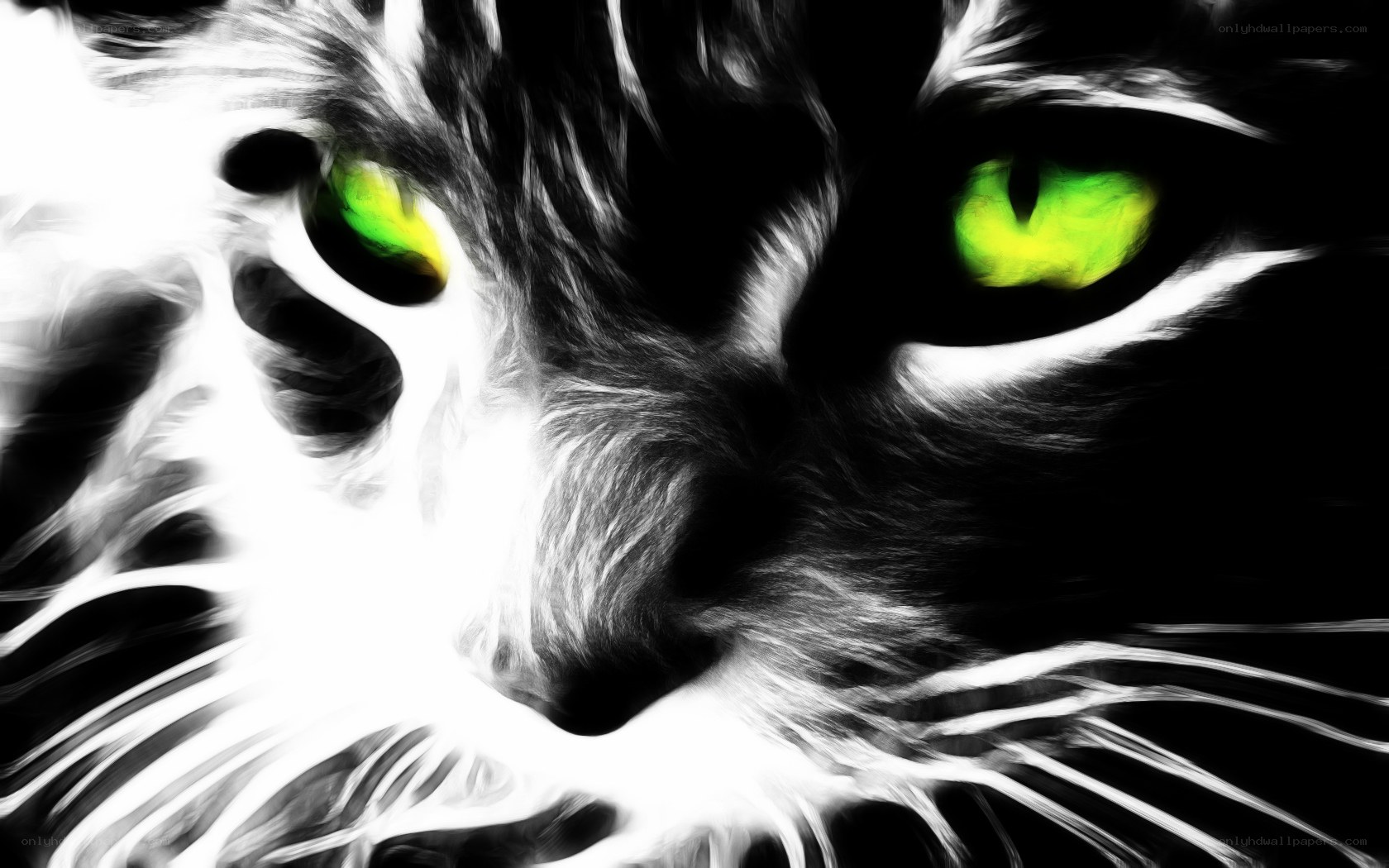 cat with glowing green eyes
