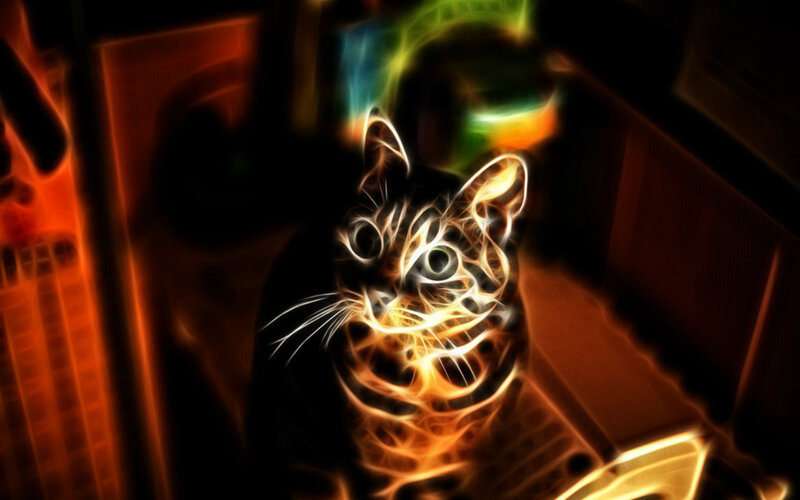 Cat with Glowing Outline