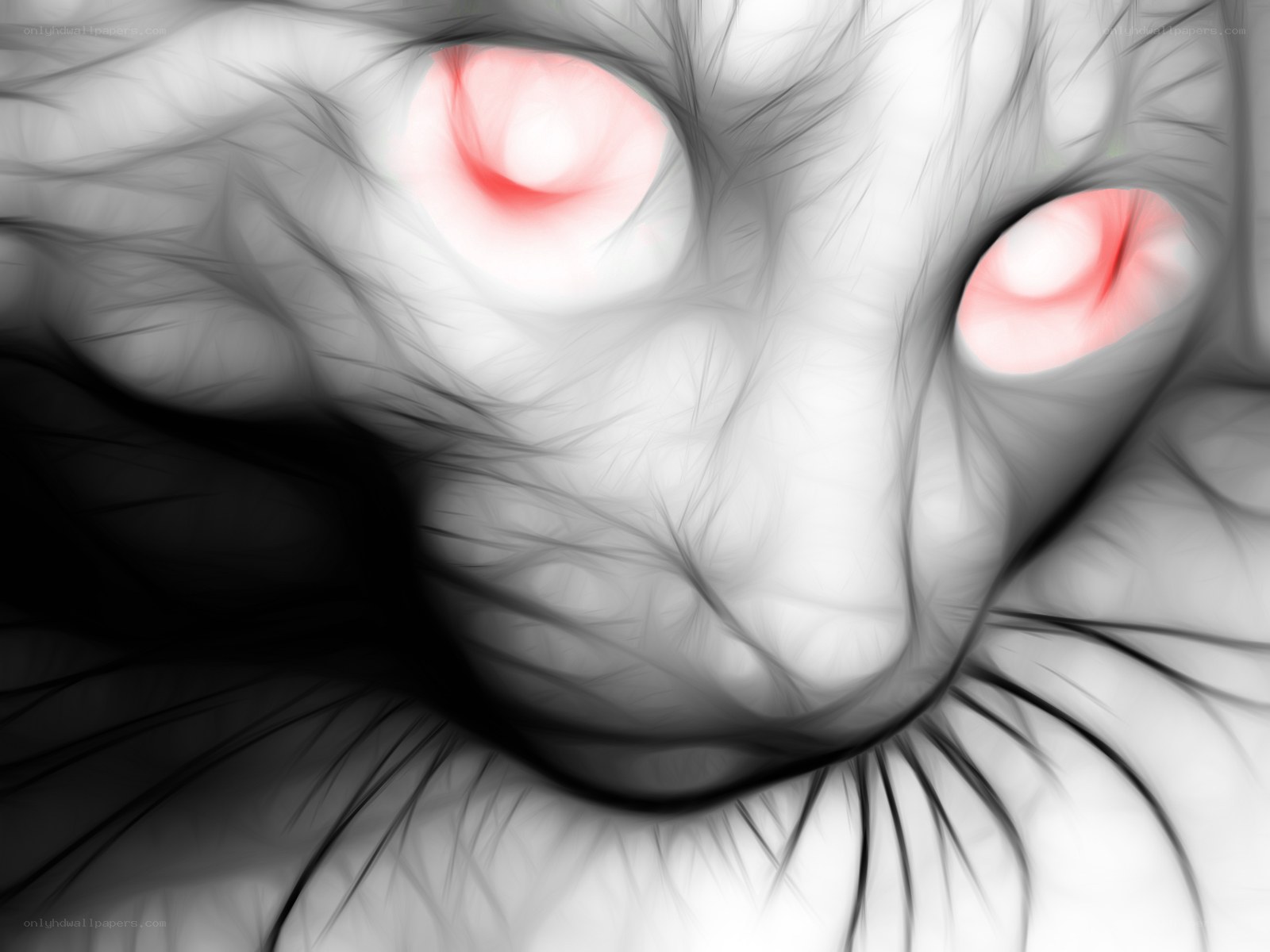 cat with glowing red eyes