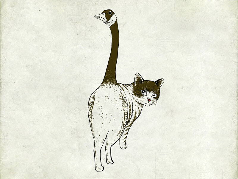 cat with goose head
