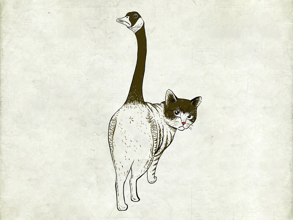 cat with goose head