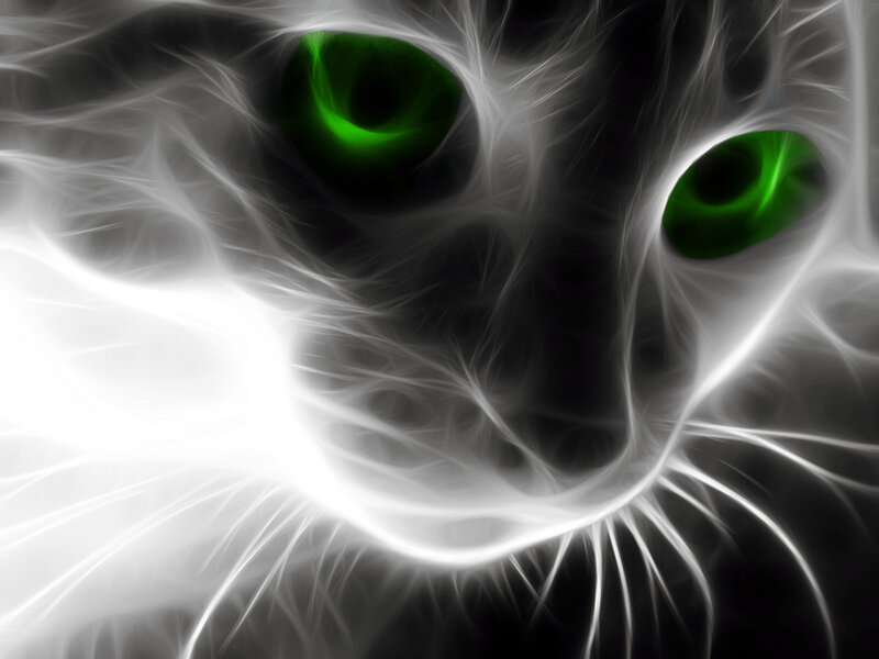 Cat with Green Eyes — Black, Dramatic, Digital Art, Whiskers