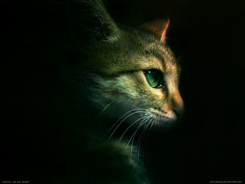 Cat with Green Eyes — Dramatic, Night, Digital Art