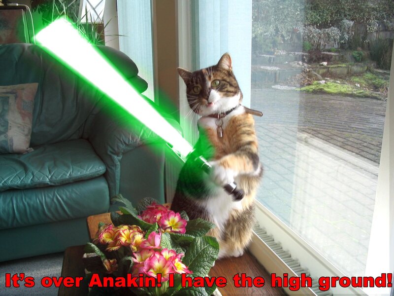cat with green lightsaber