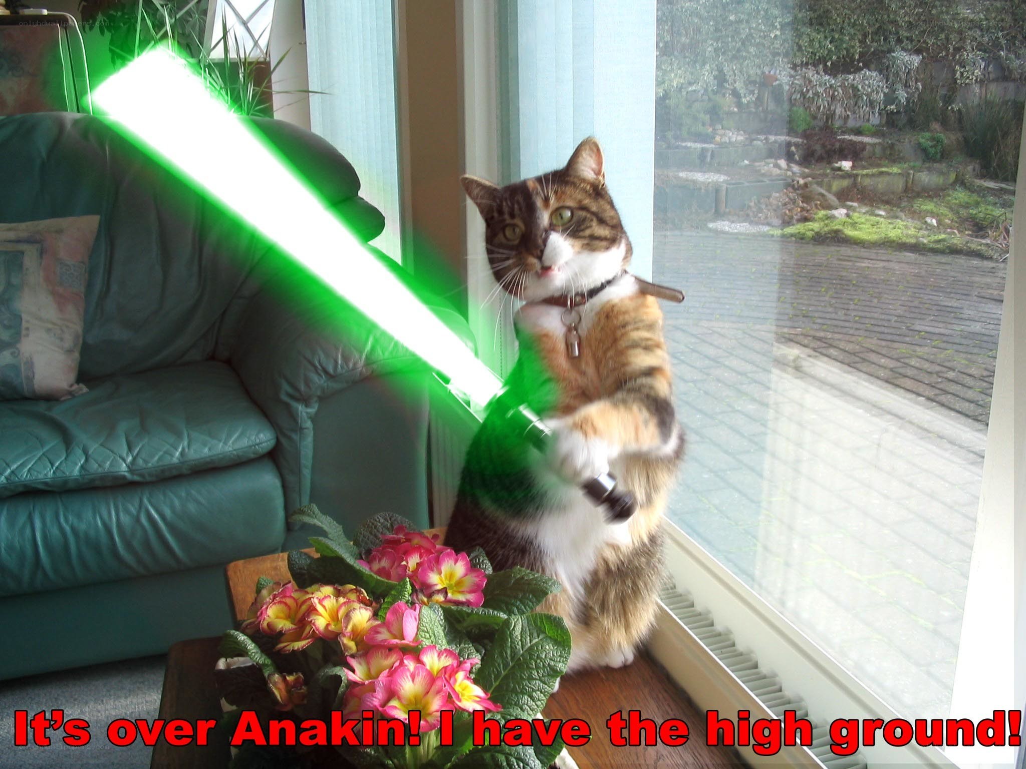 cat with green lightsaber