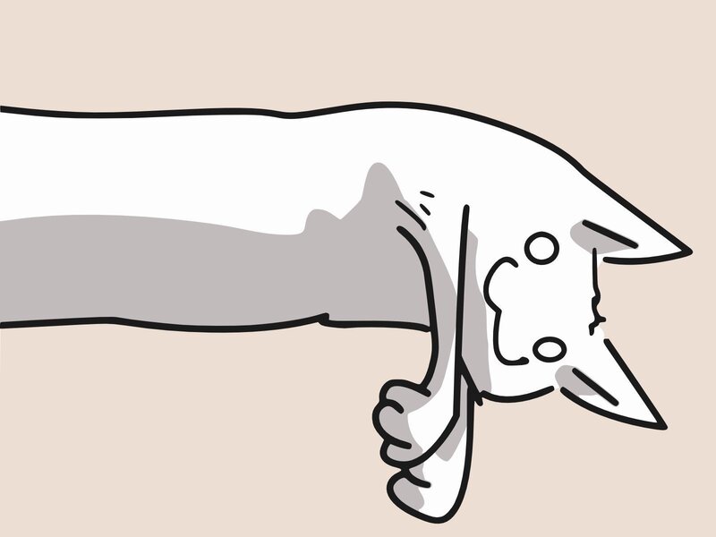 cat with hand shadow