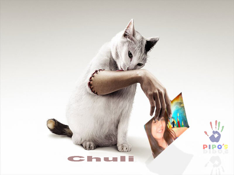 cat with human arm