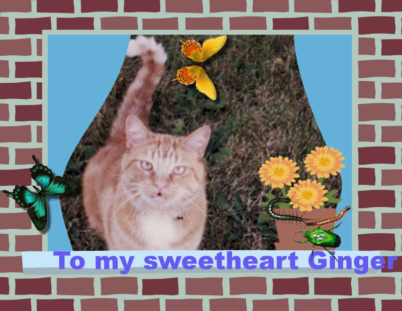 Cat with insects and flowers