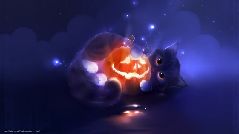 Cat with jack-o-lantern