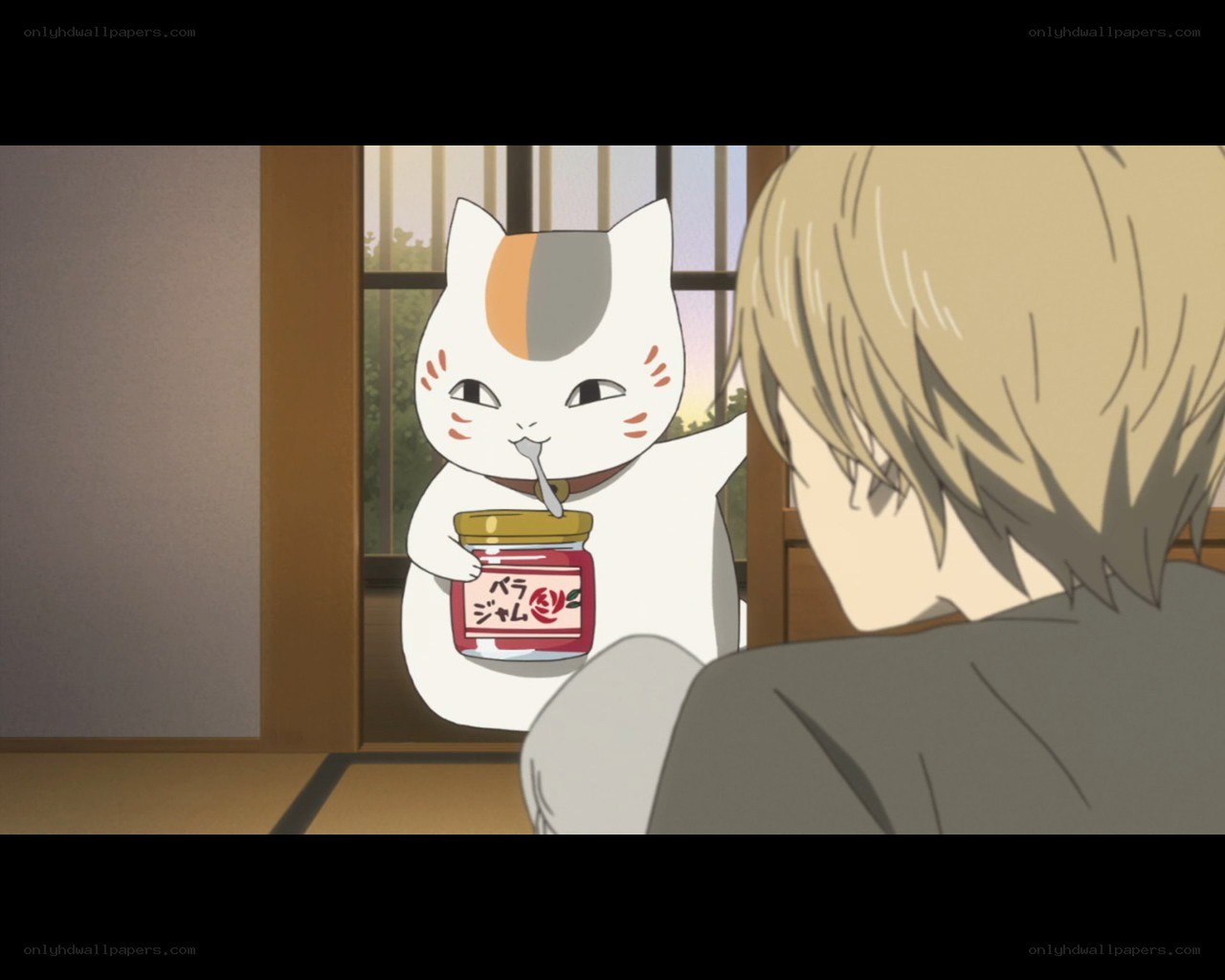 cat with jam jar