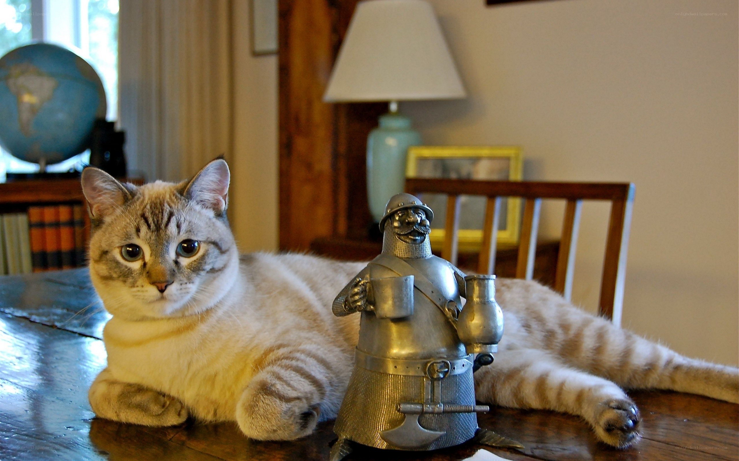 cat with knight figurine